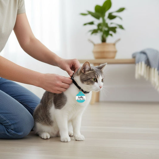 Personalized Cat ID Tag - Personalized Cat Name Tag - Custom Cat ID Tag - Chevron Name Tag - Cat ID Tag - Cat Collar Name Tag - Turquoise Joyful Moose
