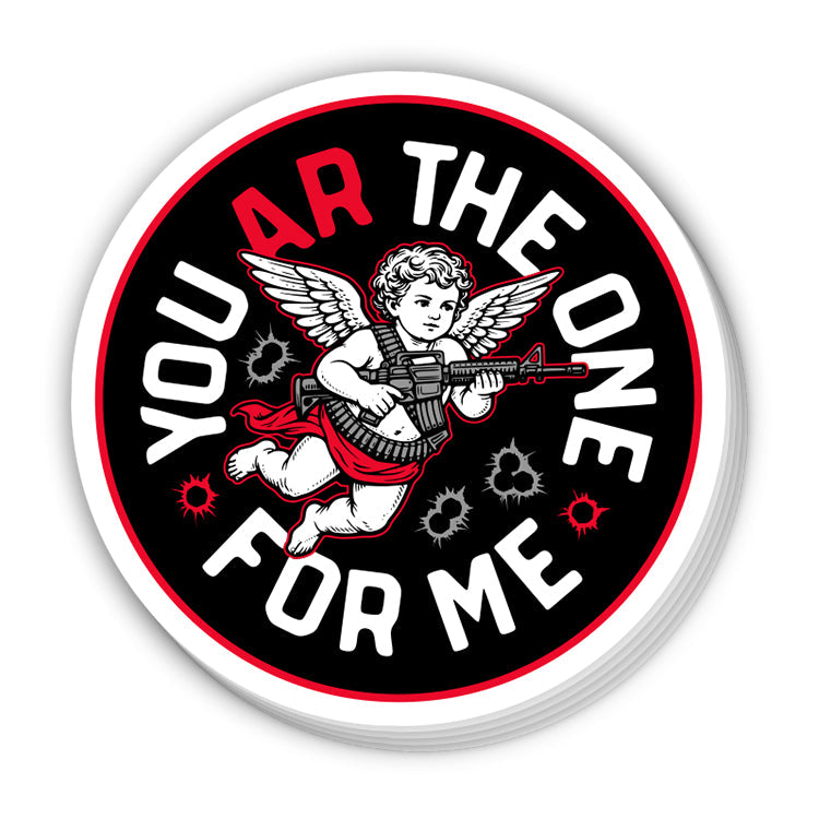 You AR the One for Me Cupid Decal Shield Republic