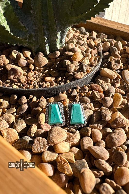 Roam Wild Studs Wild Cactus Boutique