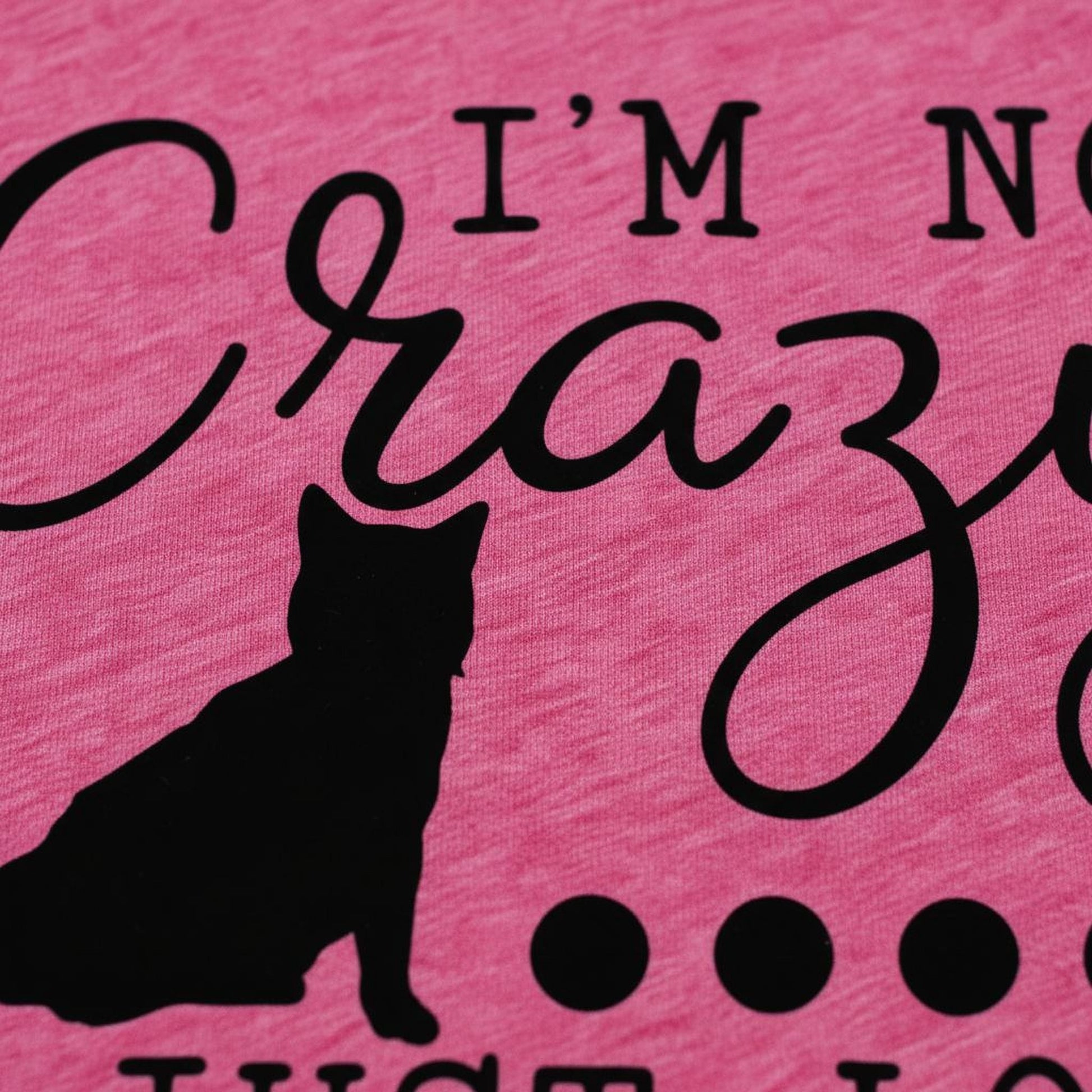 Funny Cat Shirt - Cute Cat Graphic Tee | Soft Cotton Bella Canvas T-Shirt Joyful Moose