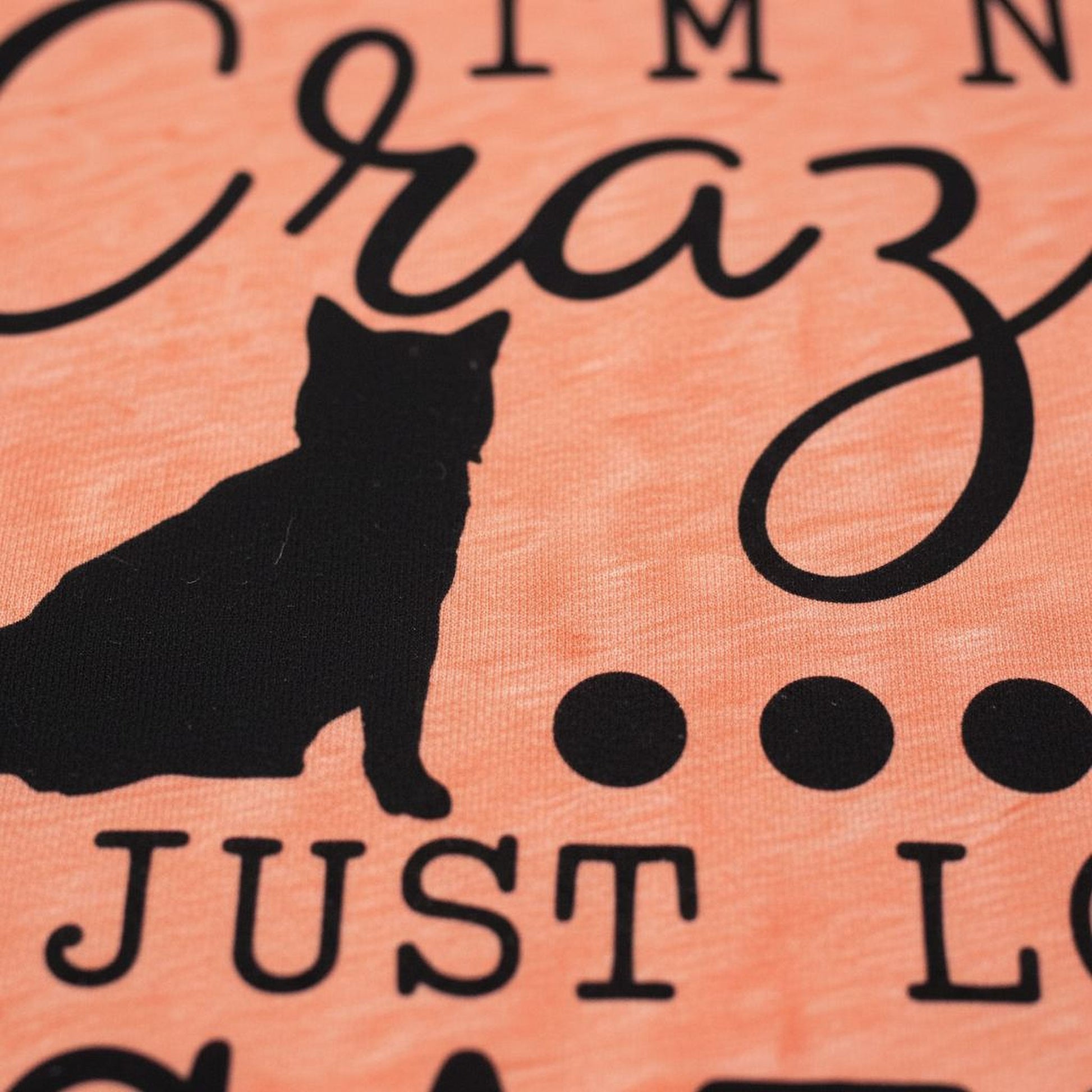 Funny Cat Shirt - Cute Cat Graphic Tee | Soft Cotton Bella Canvas T-Shirt Joyful Moose