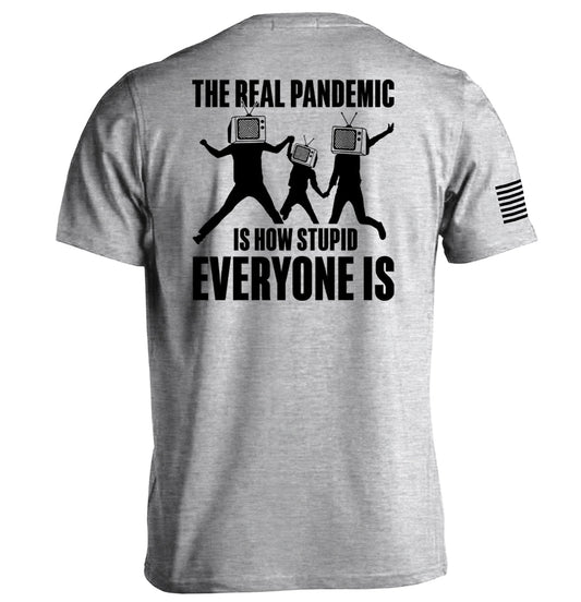 The Real Pandemic is how Stupid Everyone Is Shield Republic