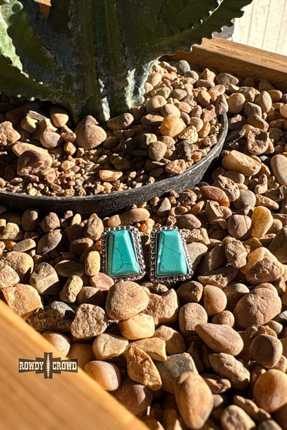 Roam Wild Studs Wild Cactus Boutique