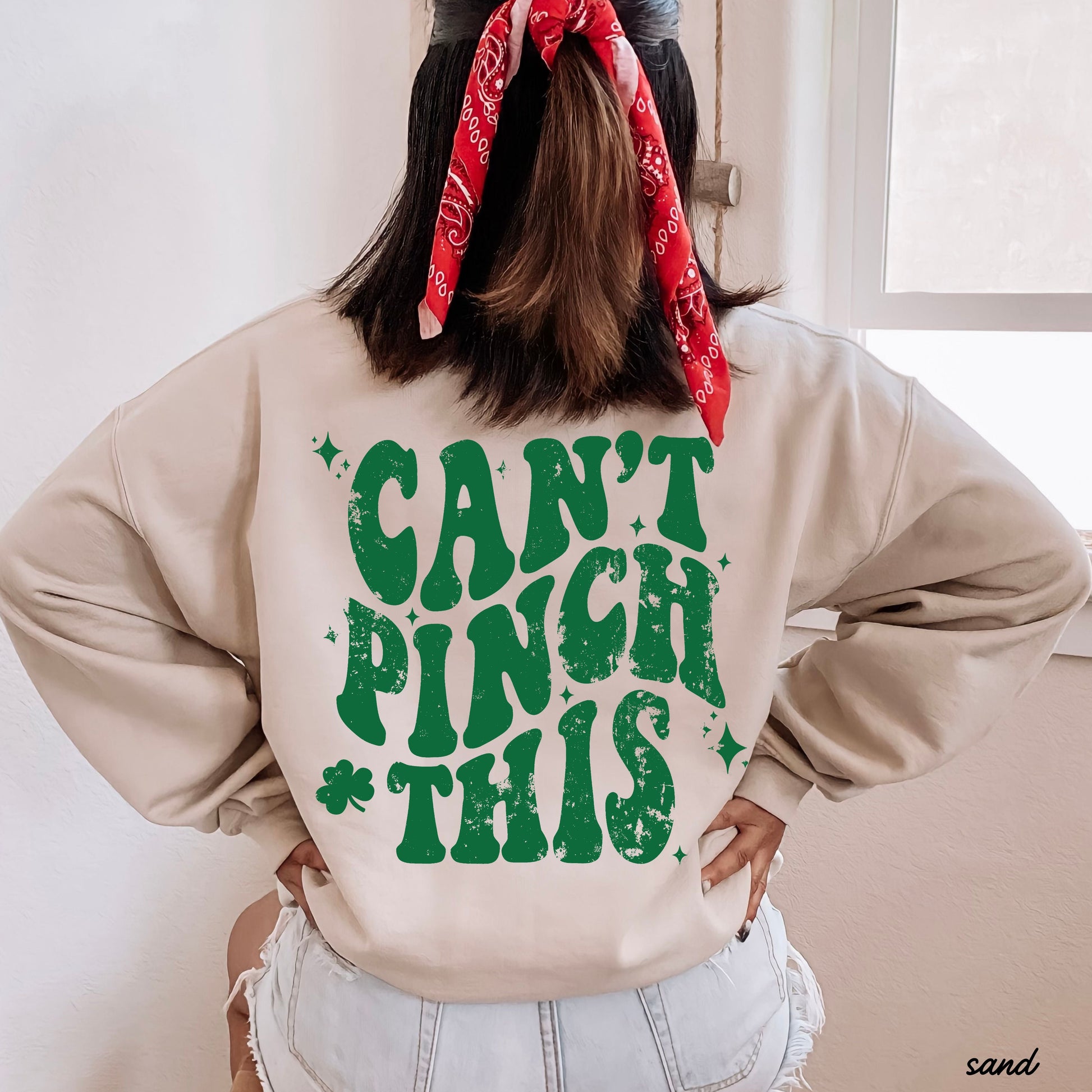 Can't Pinch This Back Side Sweatshirt *4 Colors (S-3X) Chloe Vs Tank The Boutique