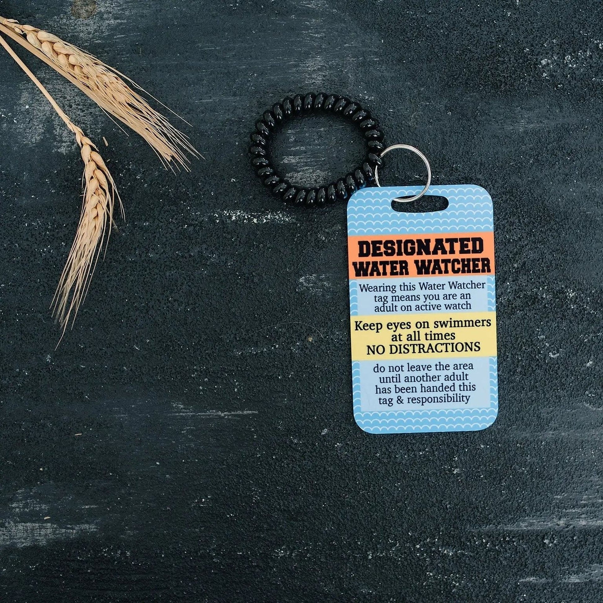 Pool Safety Badge, Water Watch Tag, Water Safety, Swimming Pool Accessories Joyful Moose