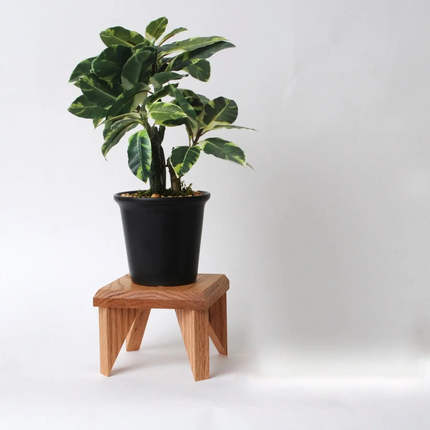 Geometric Plant Stand Oak Wood, Walnut Wood Display Stand Joyful Moose