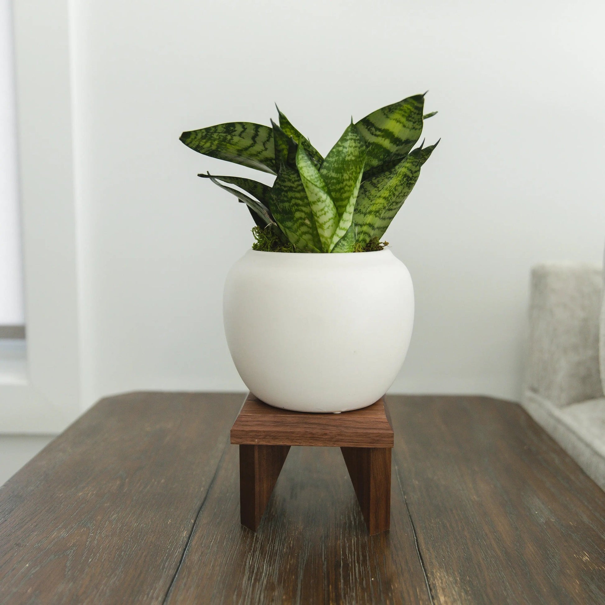 Geometric Plant Stand Oak Wood, Walnut Wood Display Stand Joyful Moose