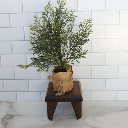 Geometric Plant Stand Oak Wood, Walnut Wood Display Stand Joyful Moose