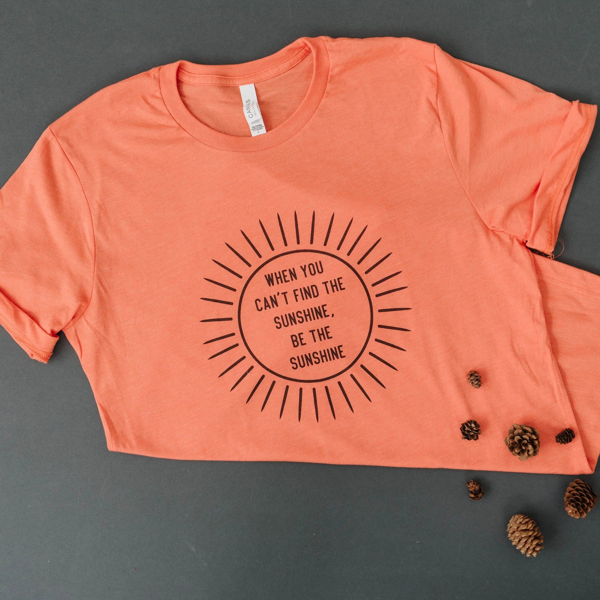 Spring Shirt, Inspirational quotes about life, Sunshine T-shirt for her, inspirational shirts, mental health tshirt women Joyful Moose
