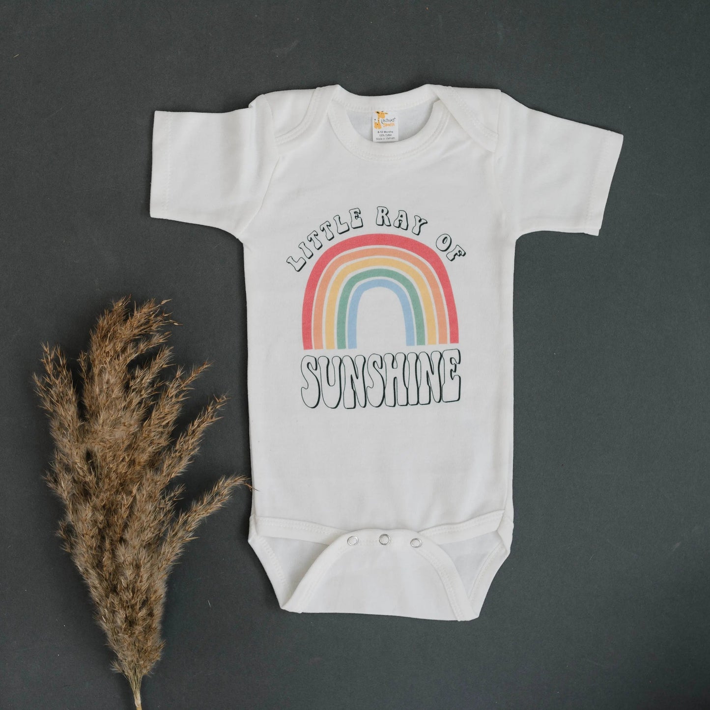Baby Bodysuit, Ray of Sunshine Baby Outfit, Rainbow Baby Clothes, New Baby Gift, Baby Shower Gift, boho baby romper Joyful Moose