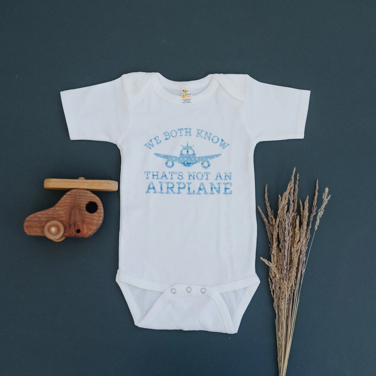 Baby Boy Shirt, Airplane baby boy bodysuit, baby shower gift, baby boy gift, funny short sleeve long sleeve one piece bodysuit Joyful Moose