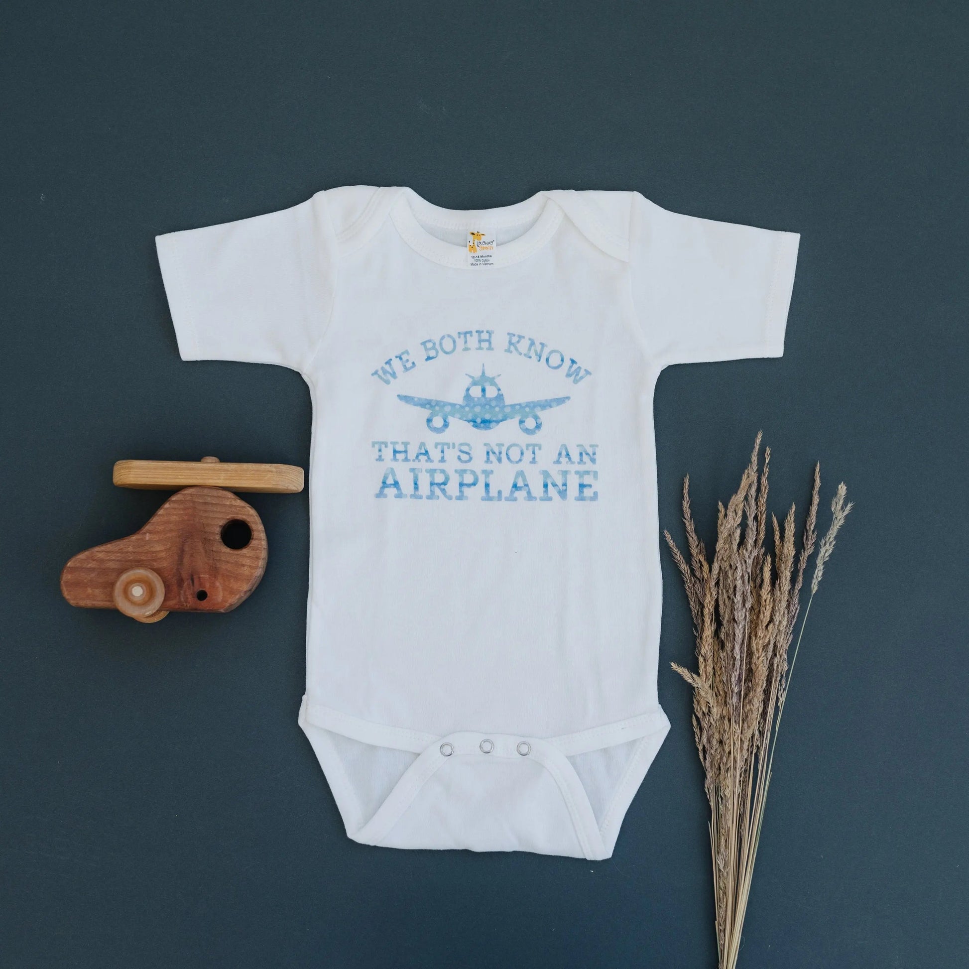 Baby Boy Shirt, Airplane baby boy bodysuit, baby shower gift, baby boy gift, funny short sleeve long sleeve one piece bodysuit Joyful Moose