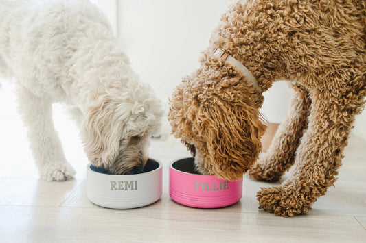 Personalized Dog Bowl, Custom Name Pet Bowl, Stainless Steel Engraved Dog Food Bowl, Water bowl for dogs, Gift for pet owners Joyful Moose