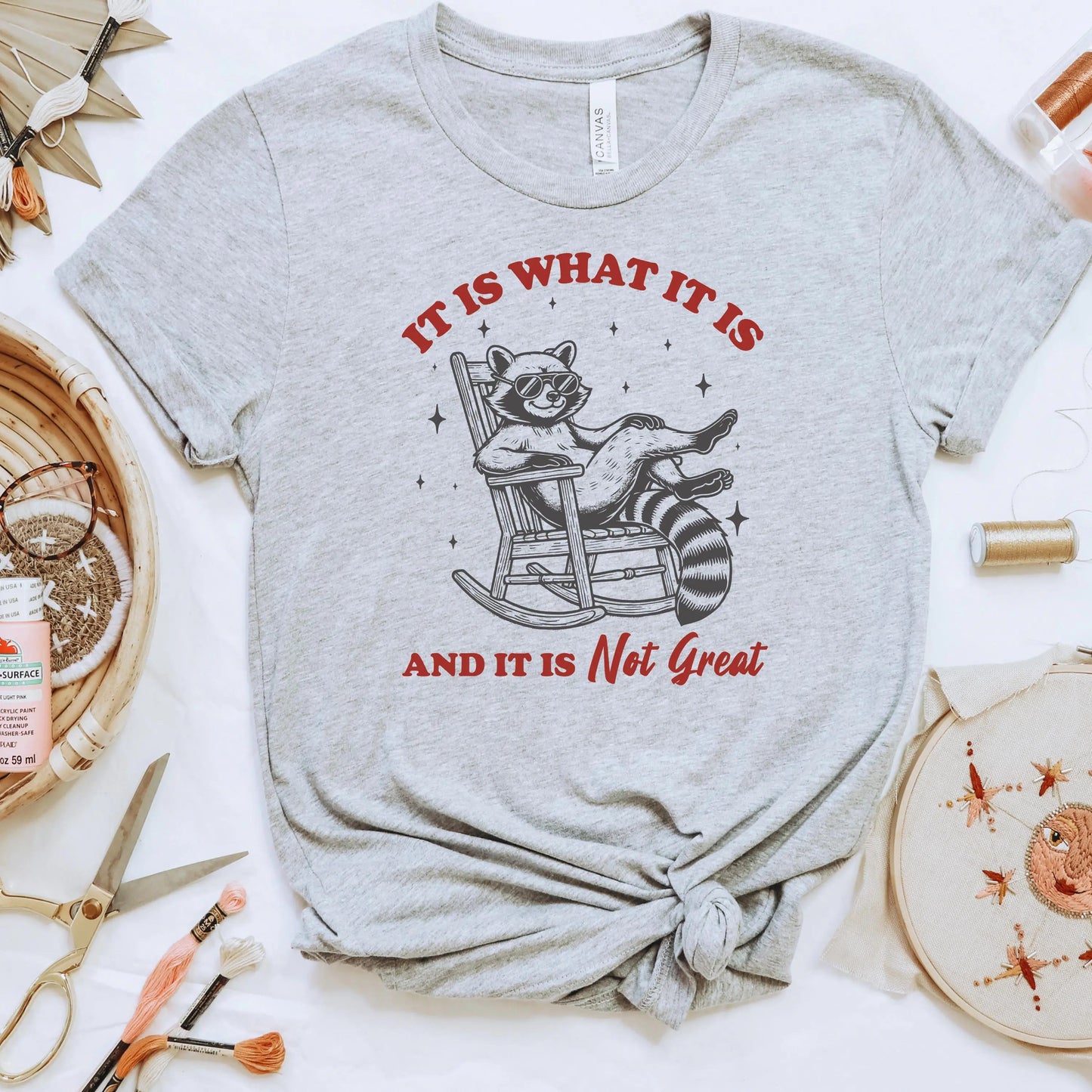 Funny Raccoon Tee Animal Shirt for Women Birthday Gift for Friend Raccoon Graphic Tee Plus Size T Shirt Comfortable Cotton Blend Casual Joyful Moose