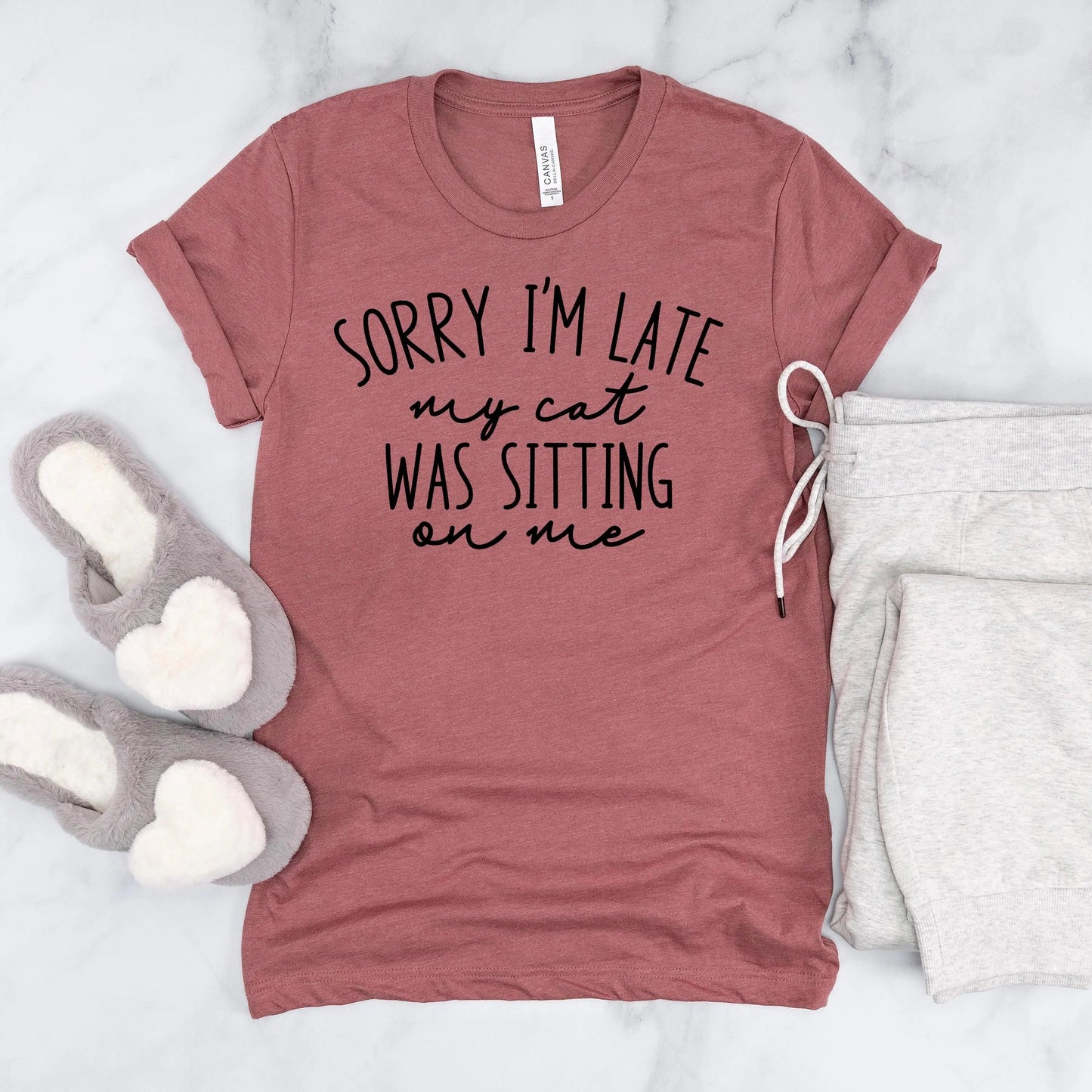 Funny Cat Shirt for Cat Mom - Sorry I'm Late, My Cat Was Sitting on Me Bella Canvas T-Shirt - Minimalist Aesthetic Introvert Homebody Joyful Moose